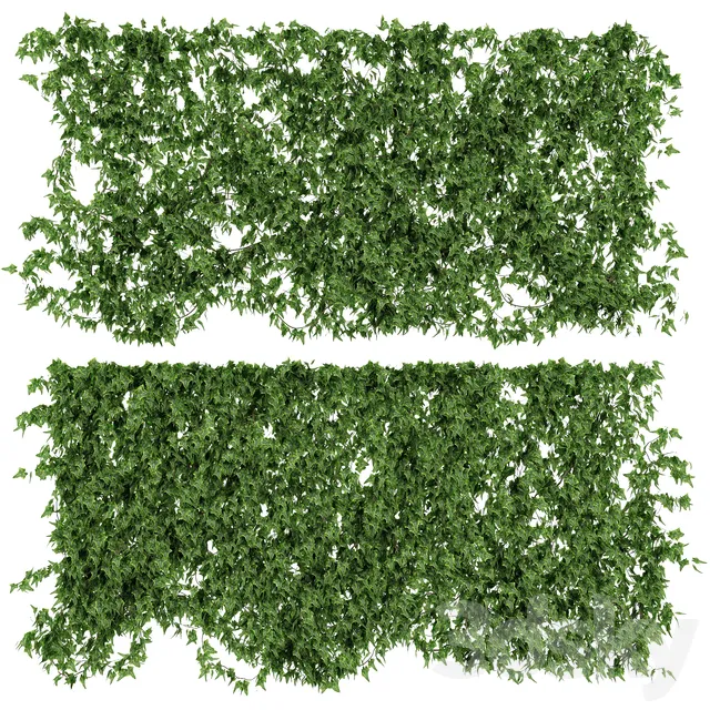 Plants – Flowers – 3D Models Download – Wall of ivy leaves v2