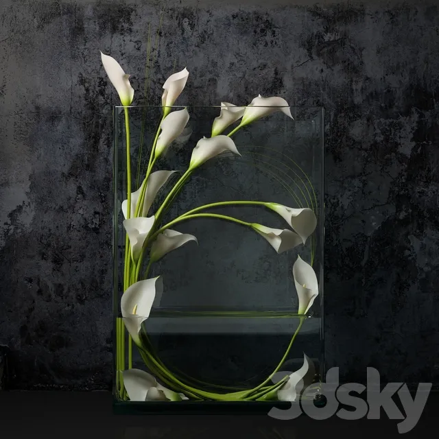 Plants – Flowers – 3D Models Download – White calla