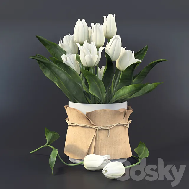 Plants – Flowers – 3D Models Download – White tulips in a vase