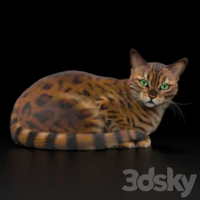 Creature – 3D Models – BENGAL CAT