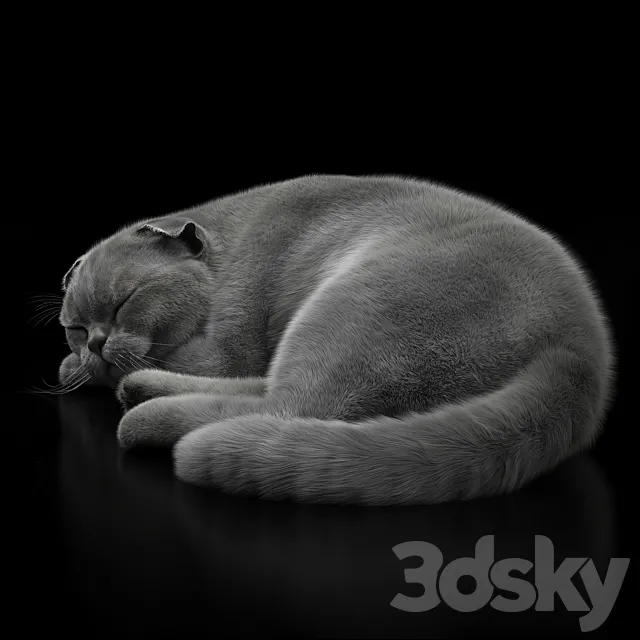 Creature – 3D Models – CAT 6