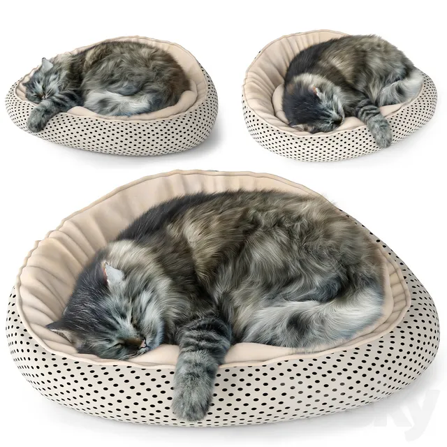 Creature – 3D Models – Sleeping cat