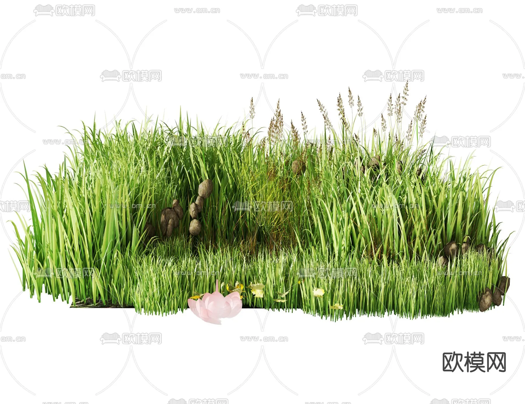 Plants and Flower – 3D Modesl – 0008