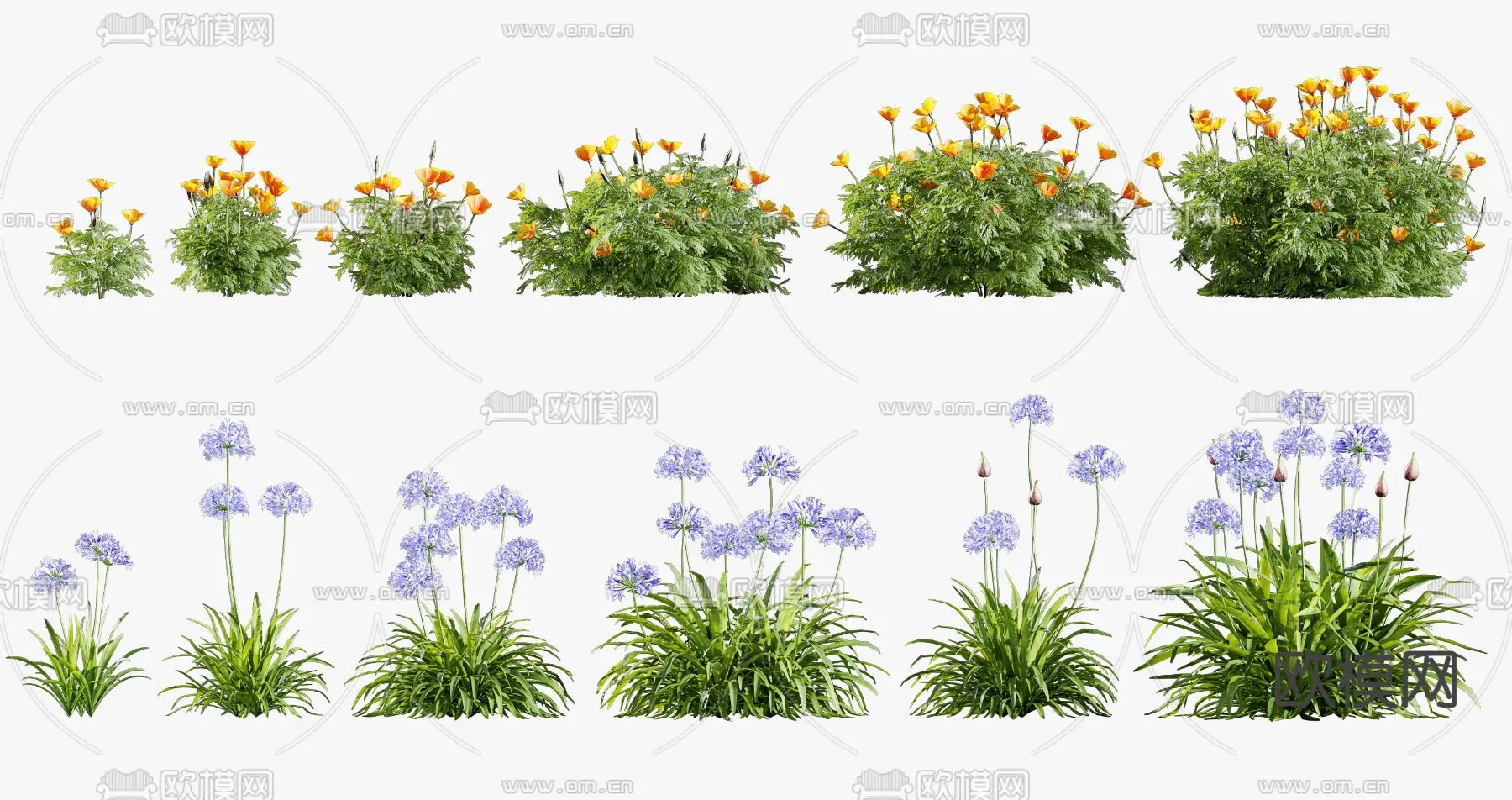 Plants and Flower – 3D Modesl – 0021