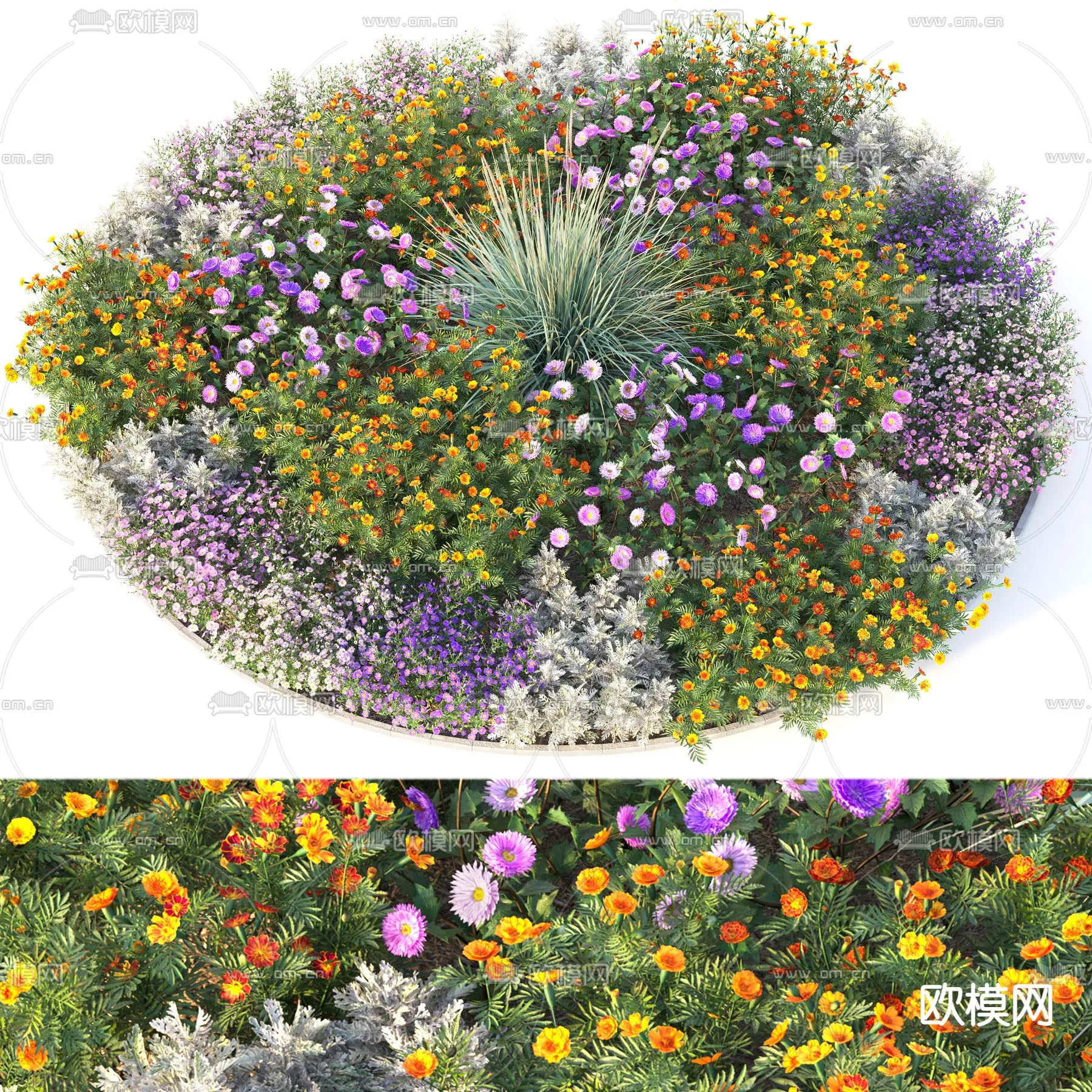 Plants and Flower – 3D Modesl – 0025