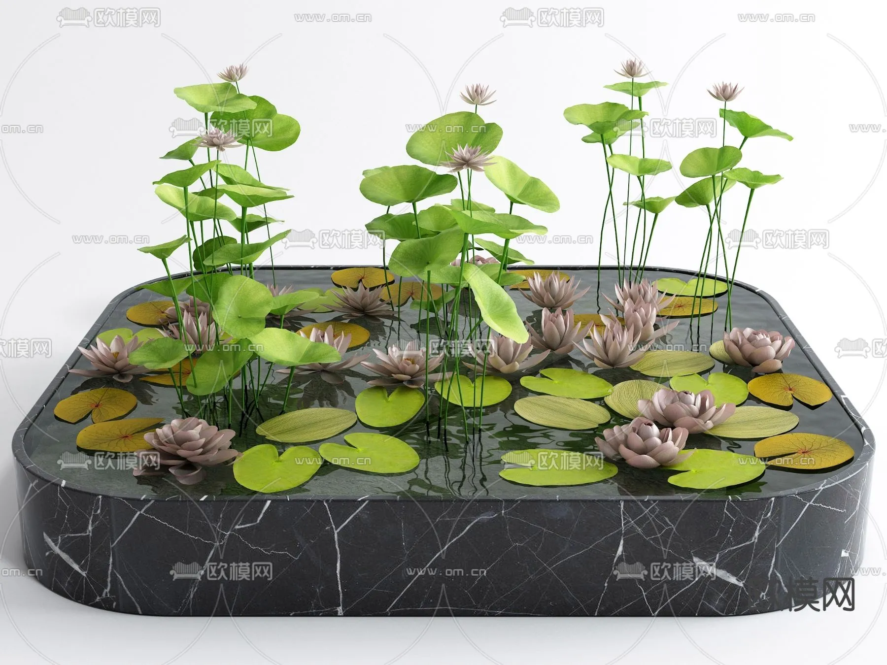 Plants and Flower – 3D Modesl – 0040
