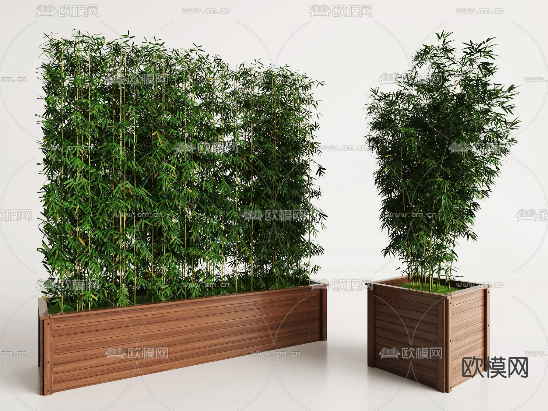 Plants and Flower – 3D Modesl – 0076