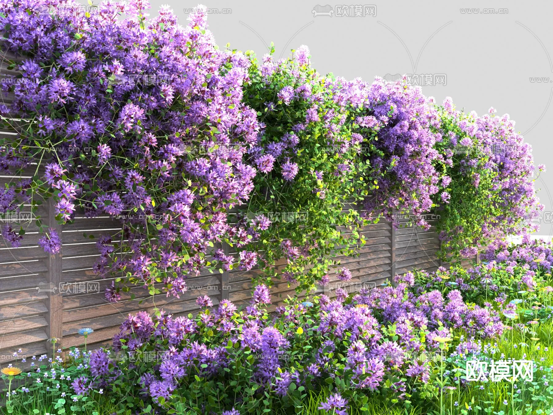 Plants and Flower – 3D Modesl – 0098