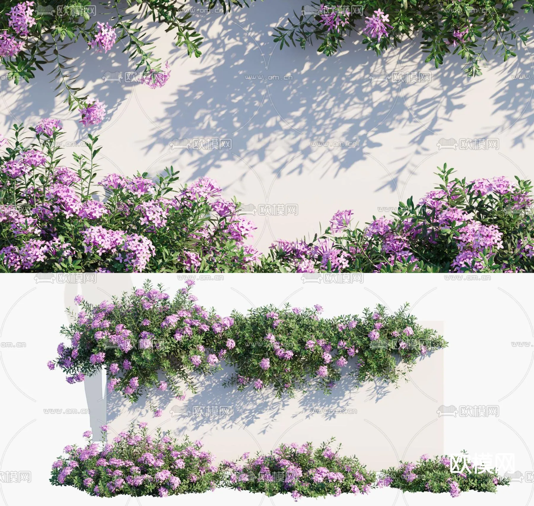 Plants and Flower – 3D Modesl – 0107