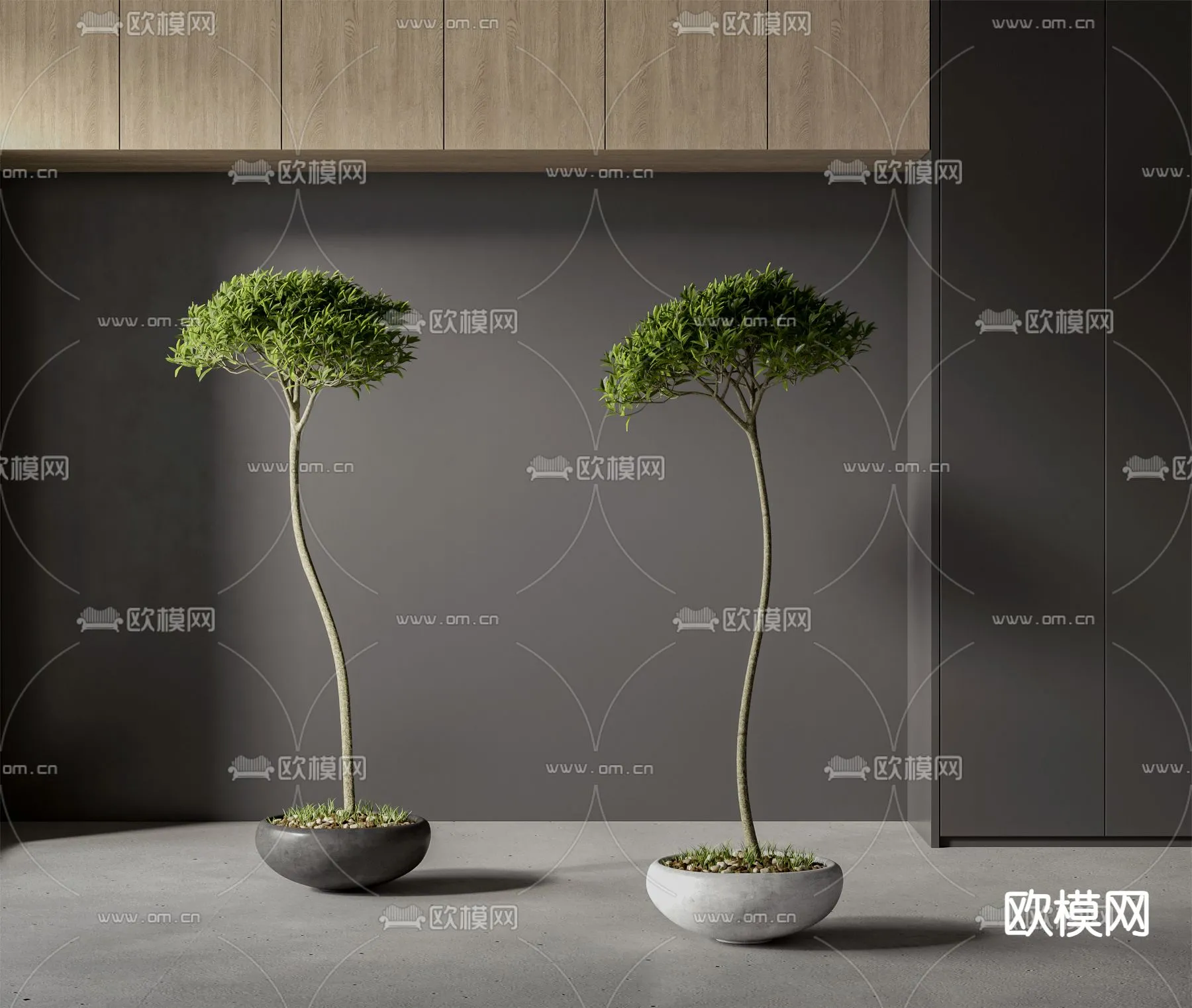 Plants and Flower – 3D Modesl – 0200