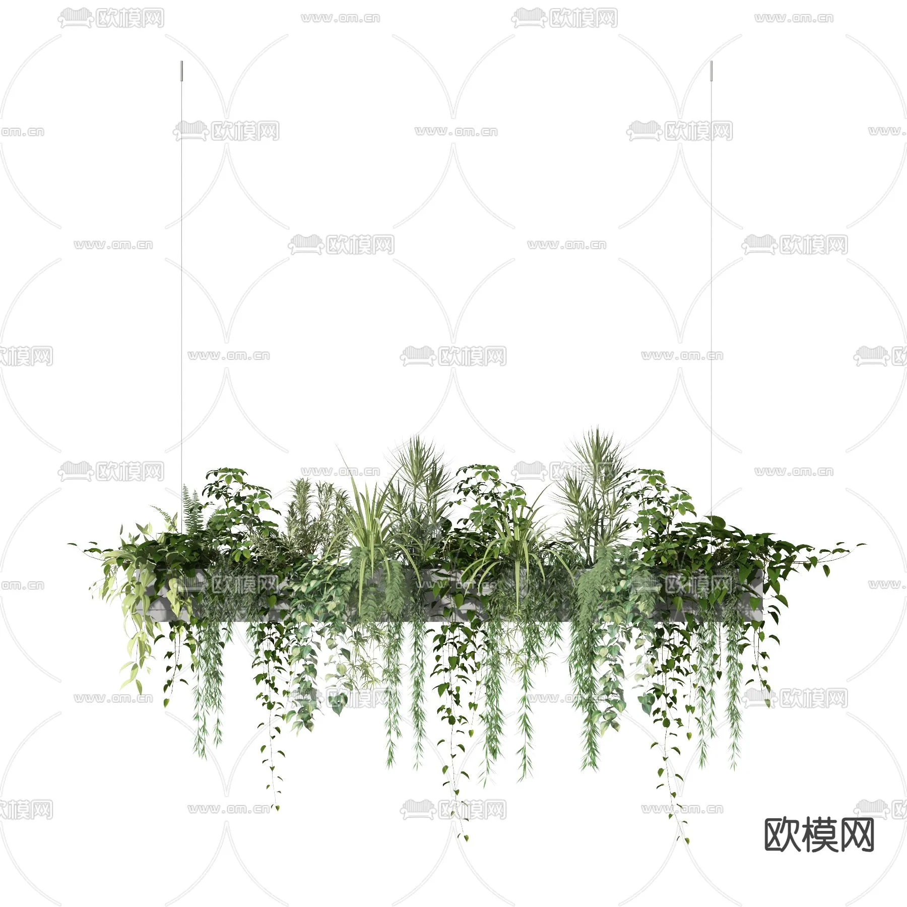 Plants and Flower – 3D Modesl – 0239