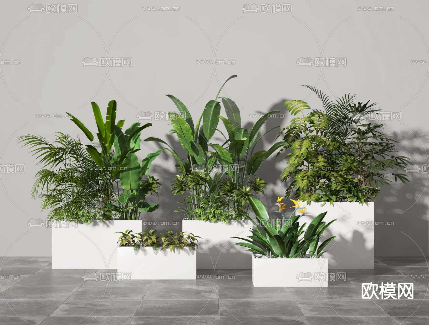 Plants and Flower – 3D Modesl – 0283