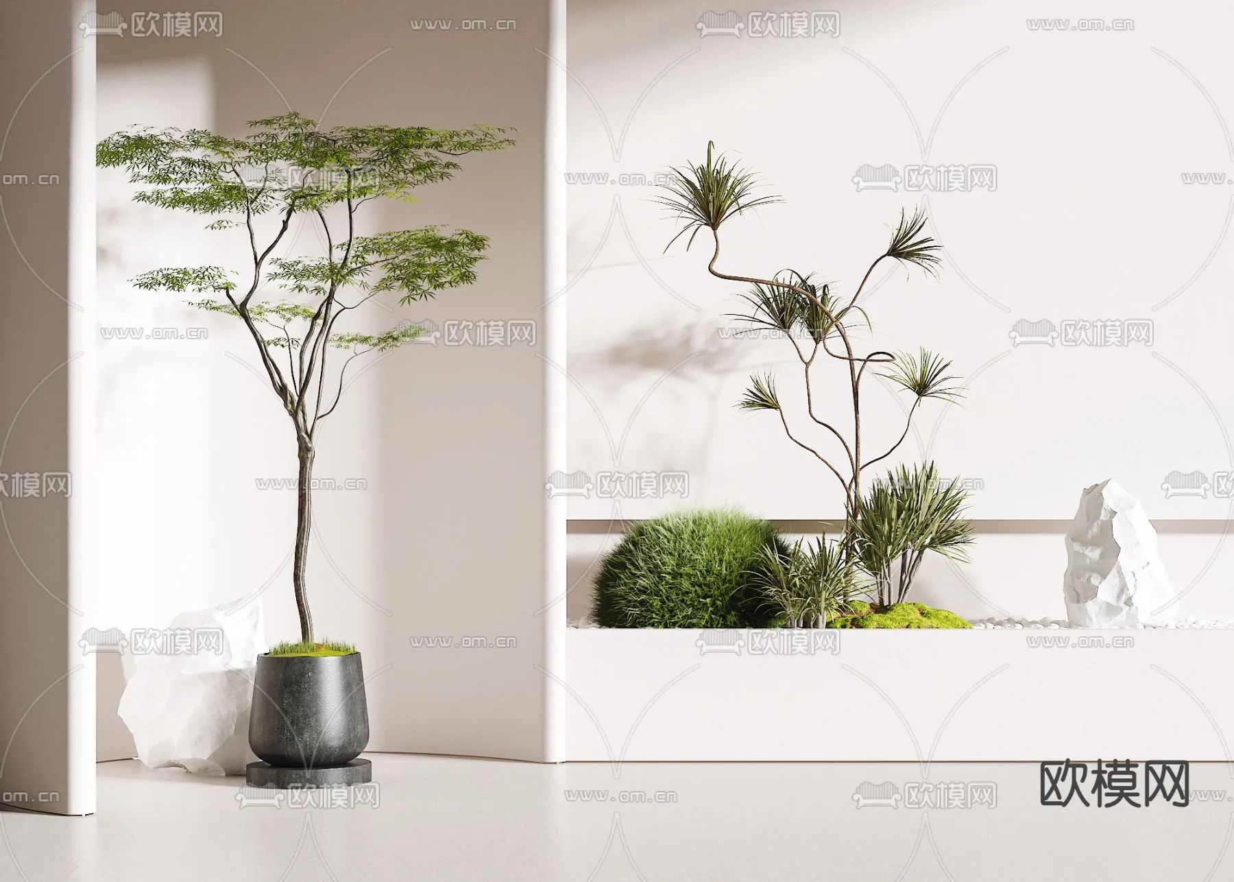 Plants and Flower – 3D Modesl – 0307
