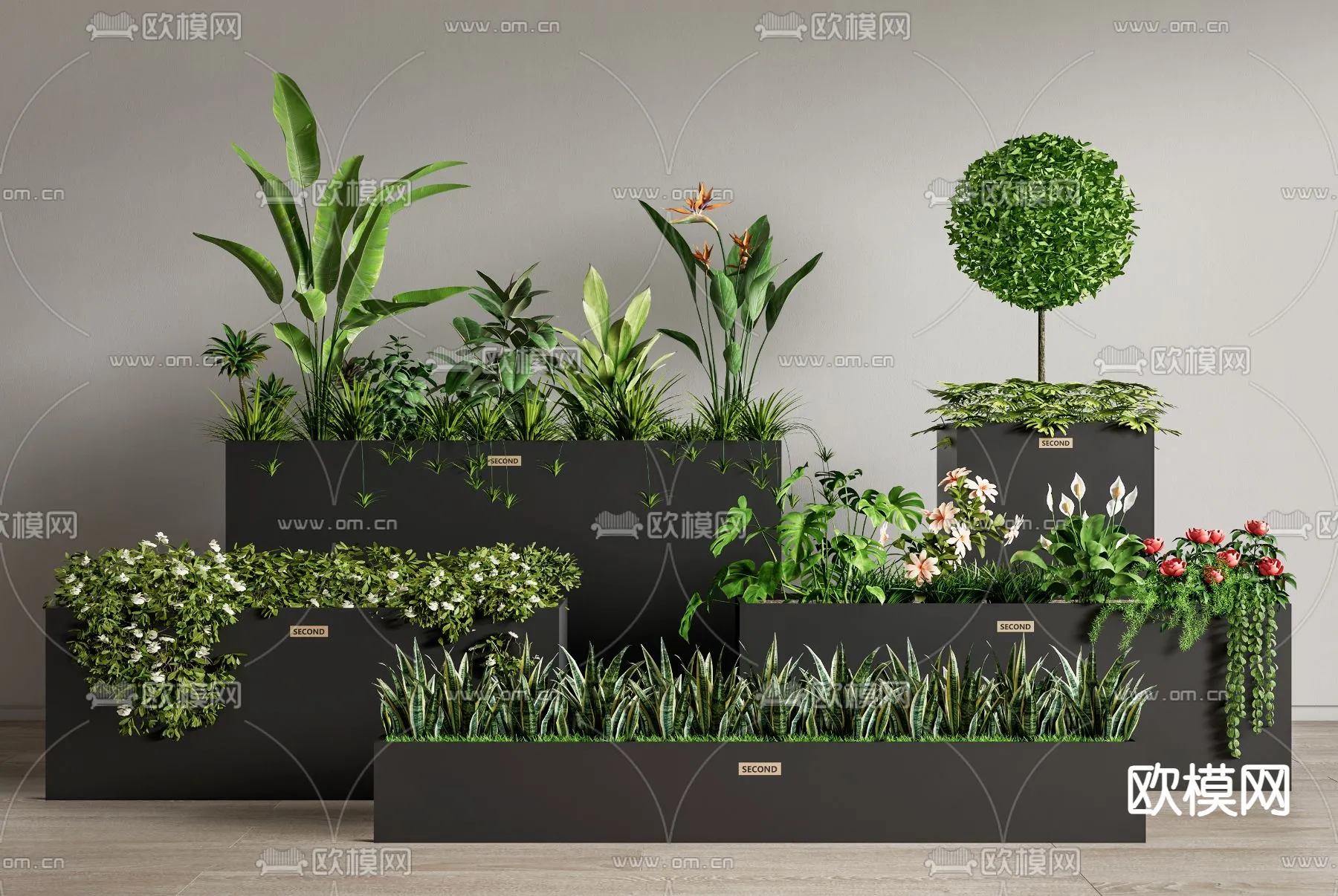 Plants and Flower – 3D Modesl – 0313