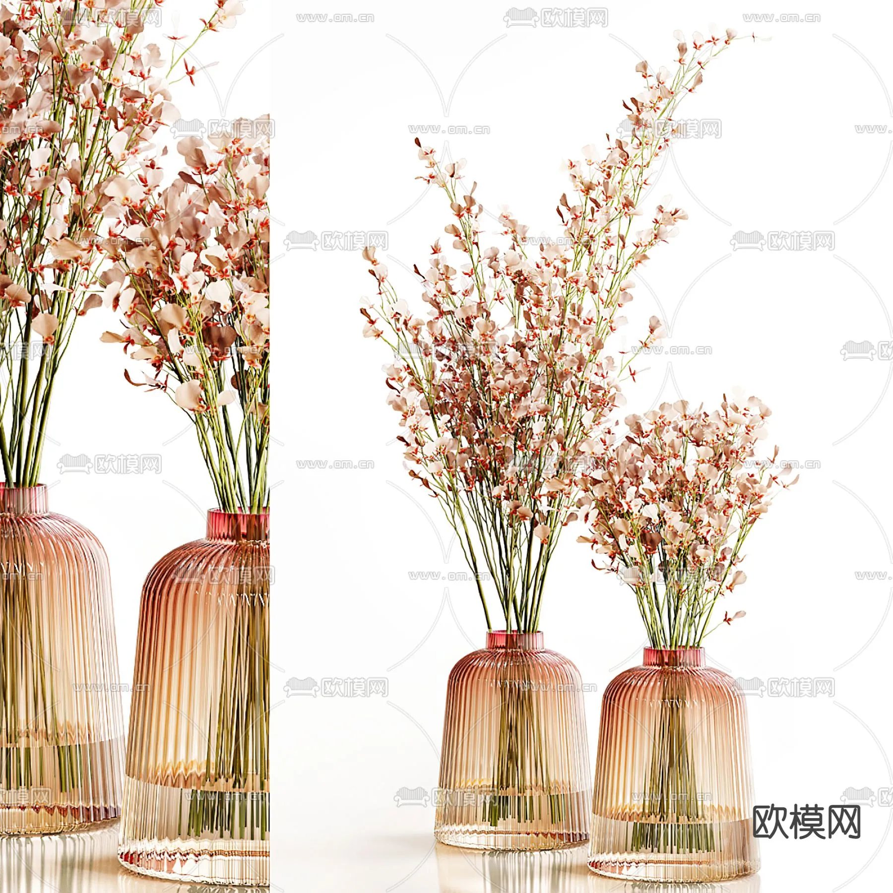 Plants and Flower – 3D Modesl – 0321