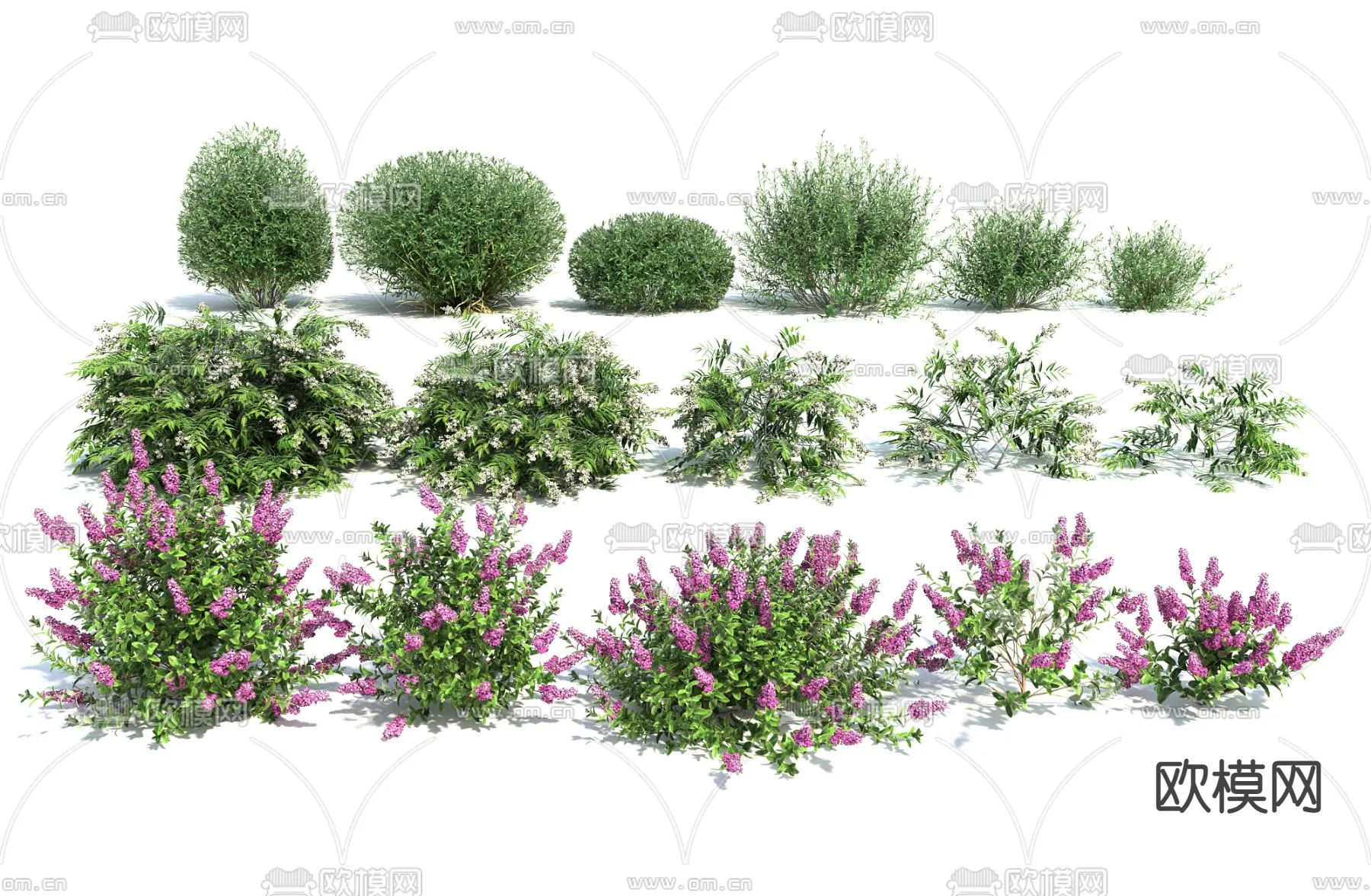 Plants and Flower – 3D Modesl – 0392