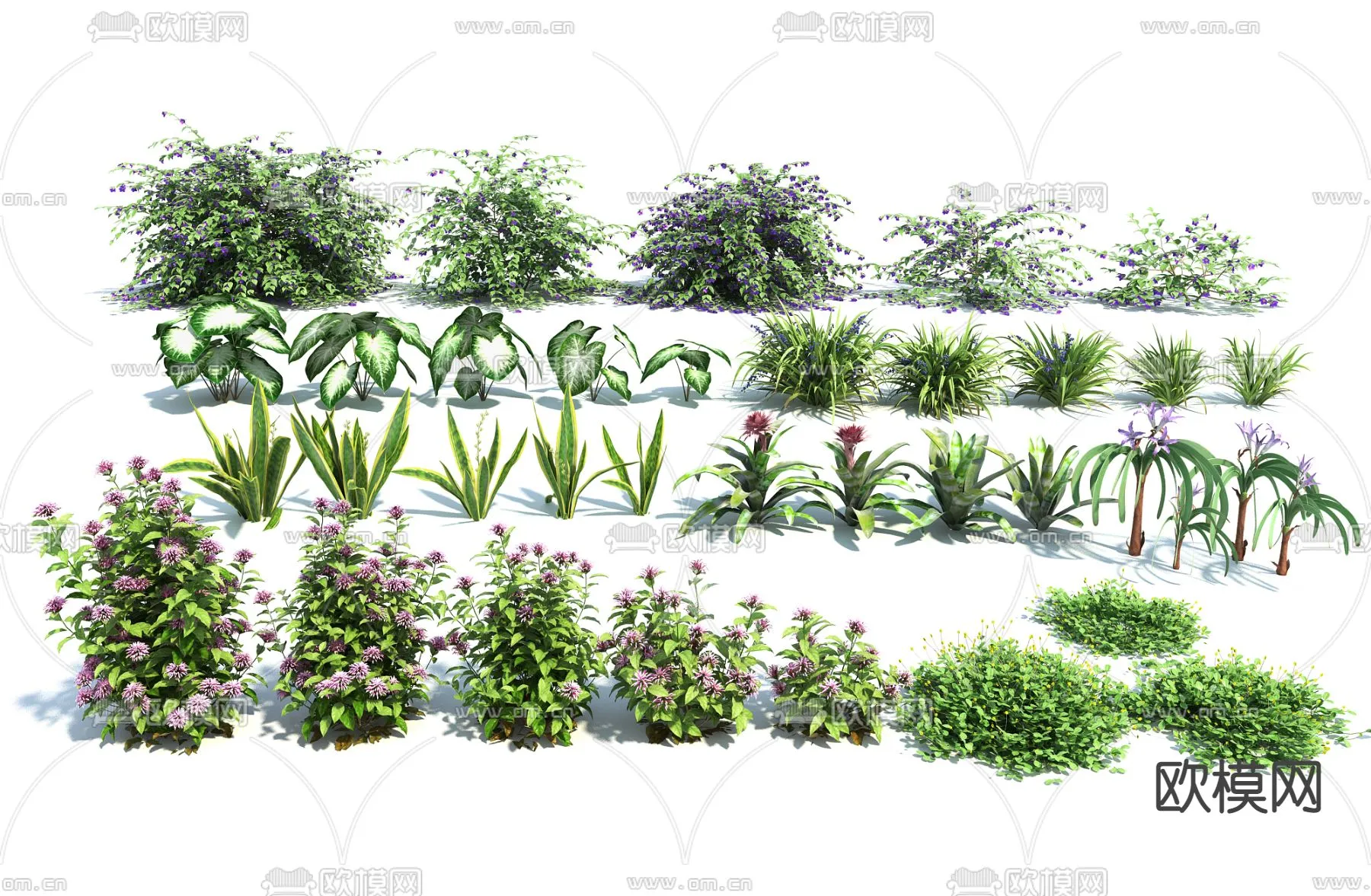 Plants and Flower – 3D Modesl – 0395