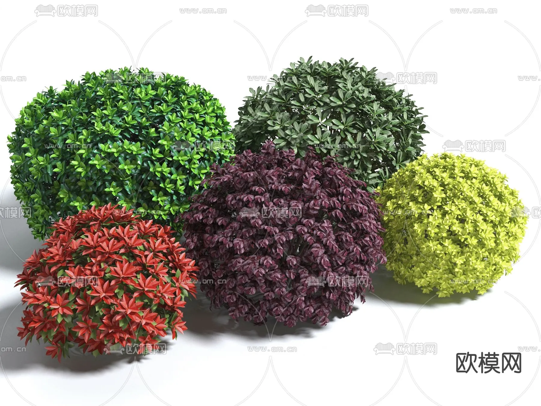 Plants and Flower – 3D Modesl – 0400