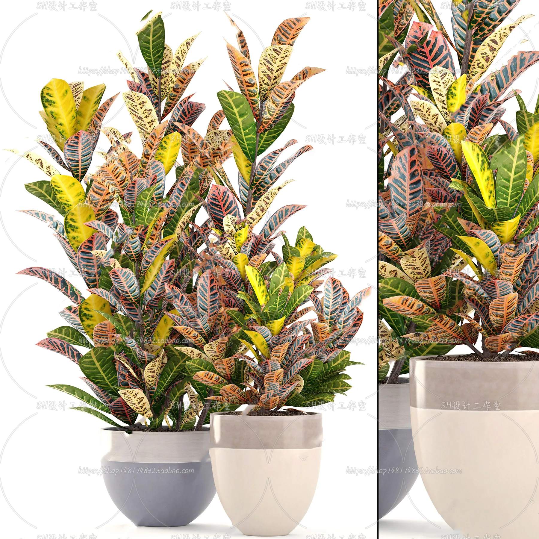 Plants and Flowers – 3Ds Models – 0185
