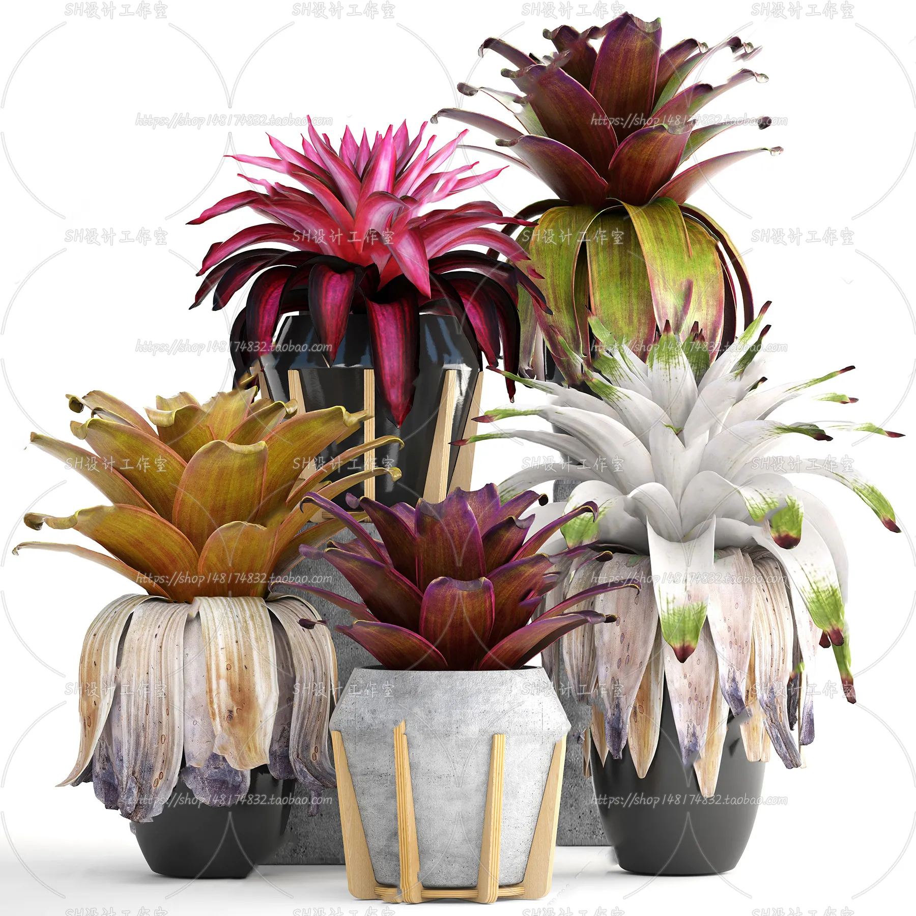 Plants and Flowers – 3Ds Models – 0223