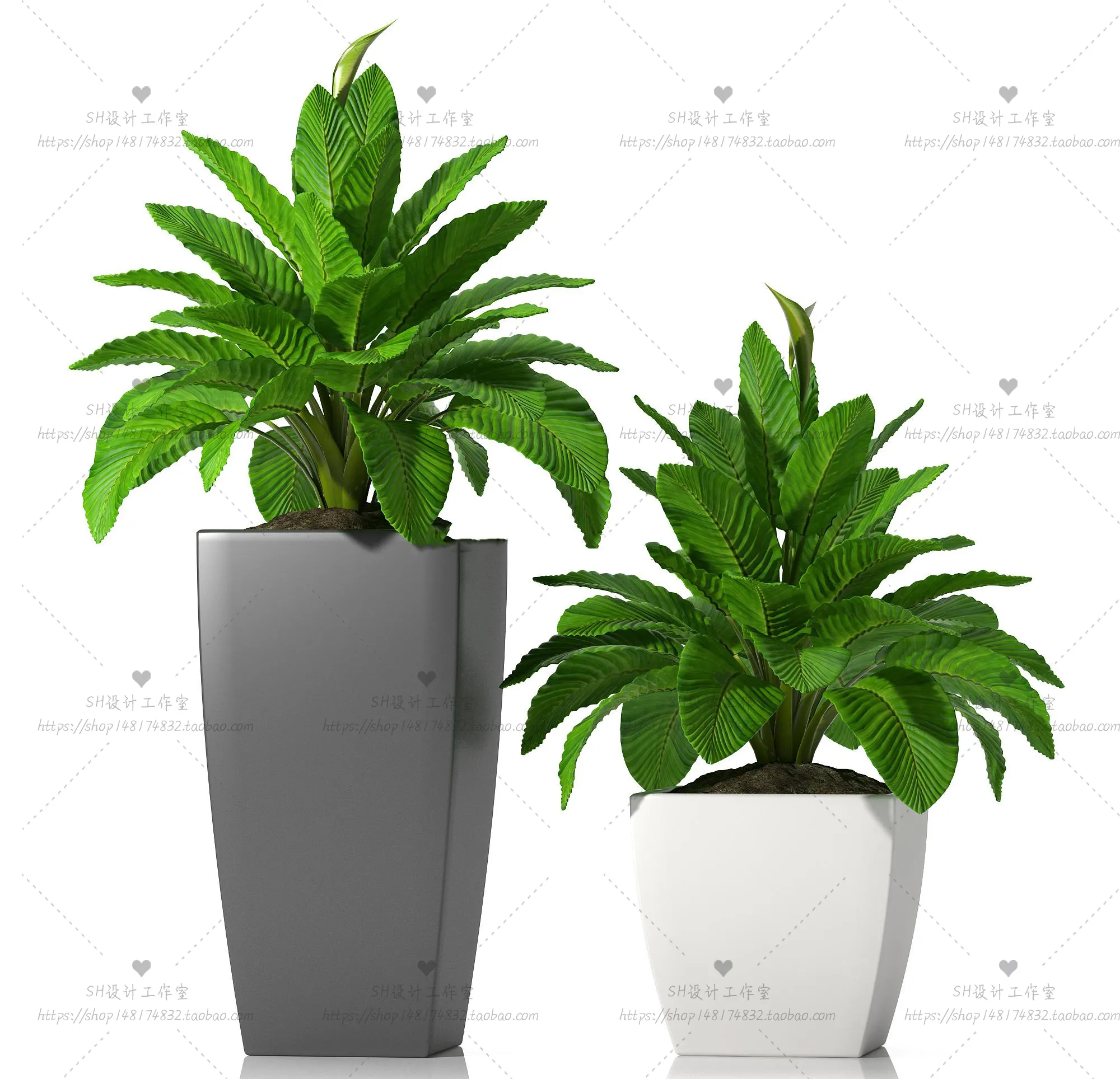 Plants and Flowers – 3Ds Models – 0271