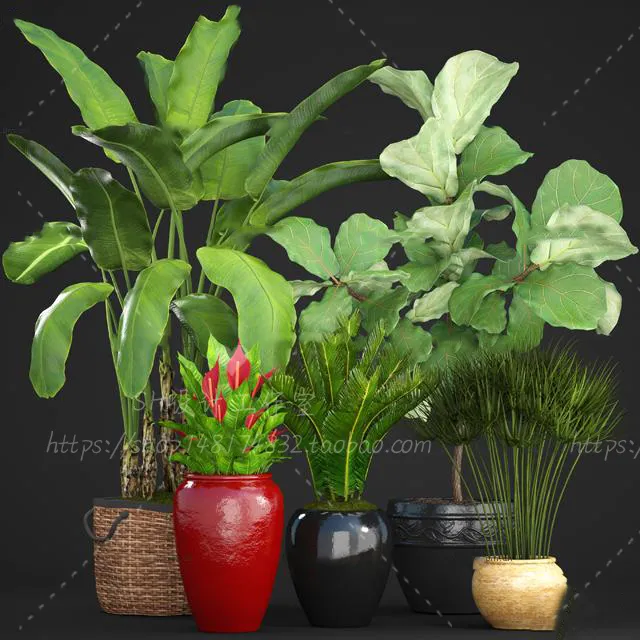Plants and Flowers – 3Ds Models – 0313