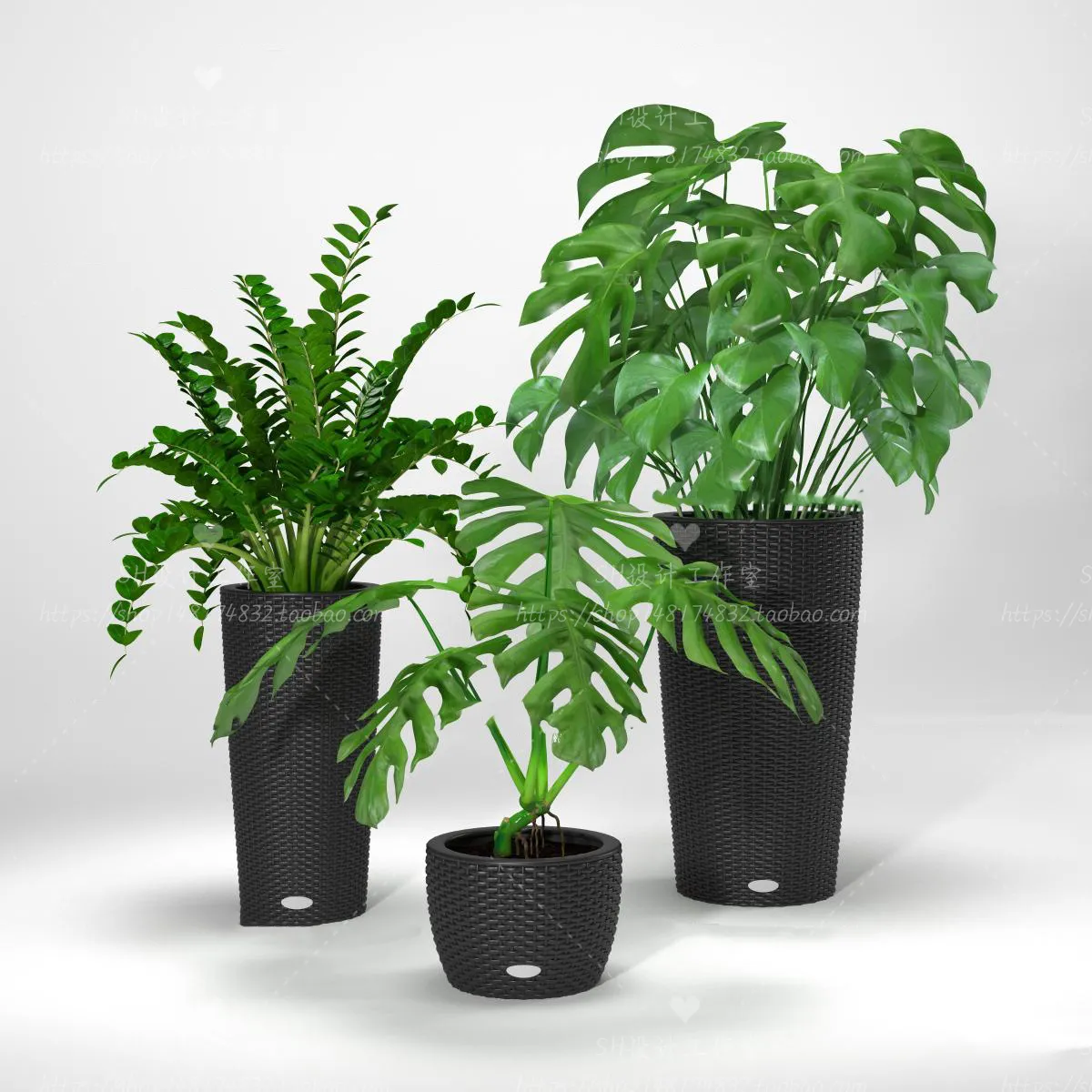 Plants and Flowers – 3Ds Models – 0333