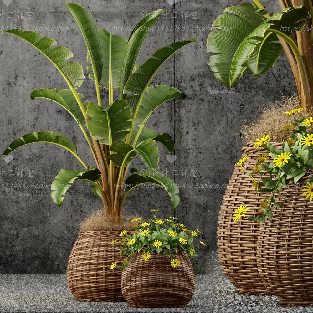 Plants and Flowers – 3Ds Models – 0381