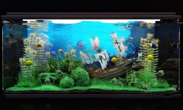Aquarium Fish – 3Dsmax Models – 0011