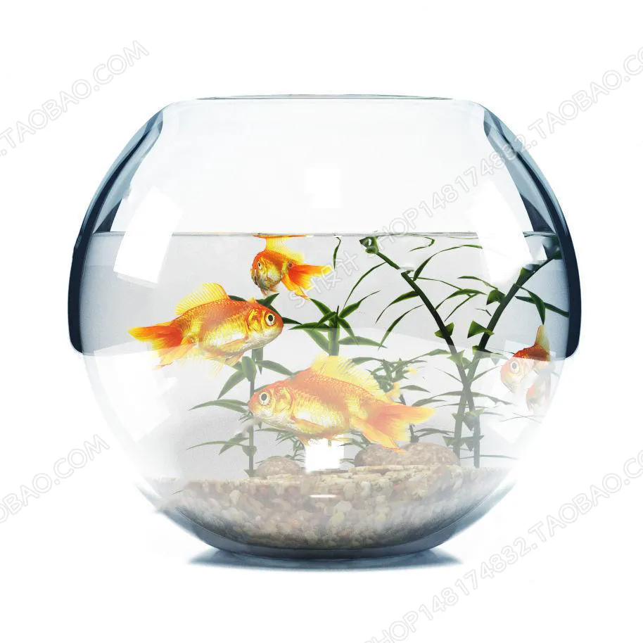 Aquarium Fish – 3Dsmax Models – 0023