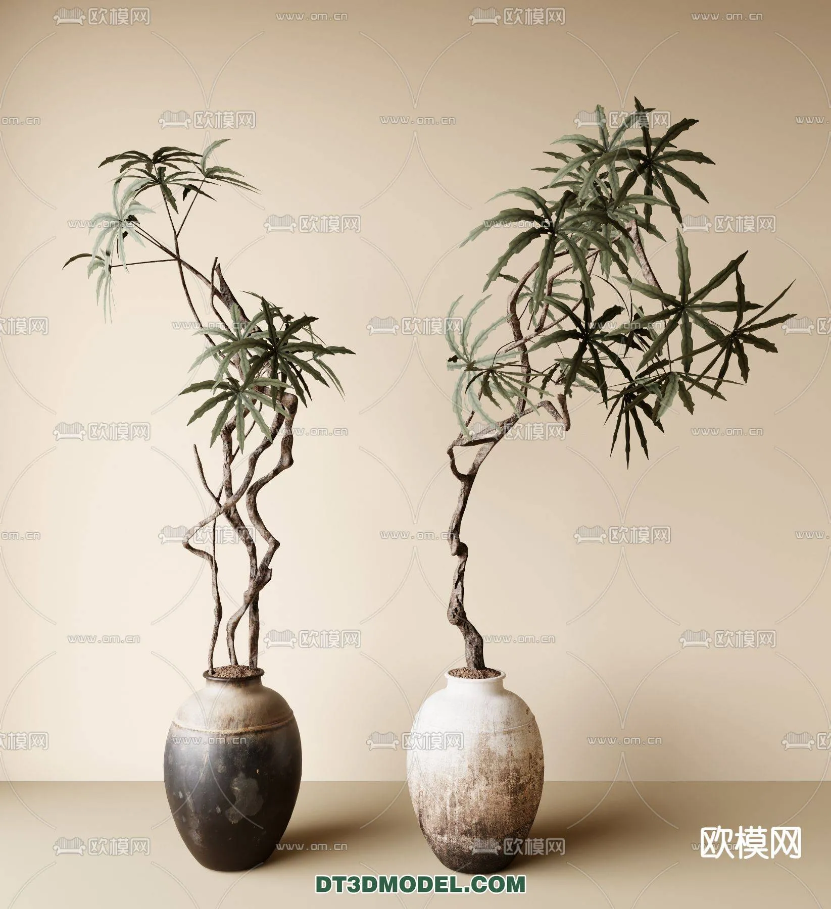 WABI SABI STYLE 3D MODELS – PLANTS – 0002