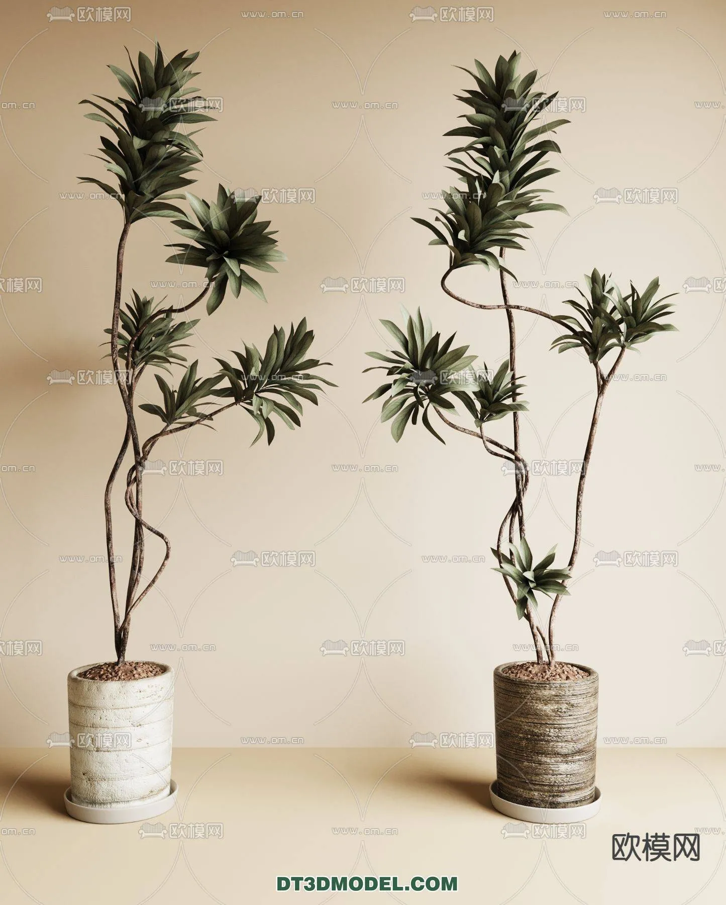 WABI SABI STYLE 3D MODELS – PLANTS – 0004