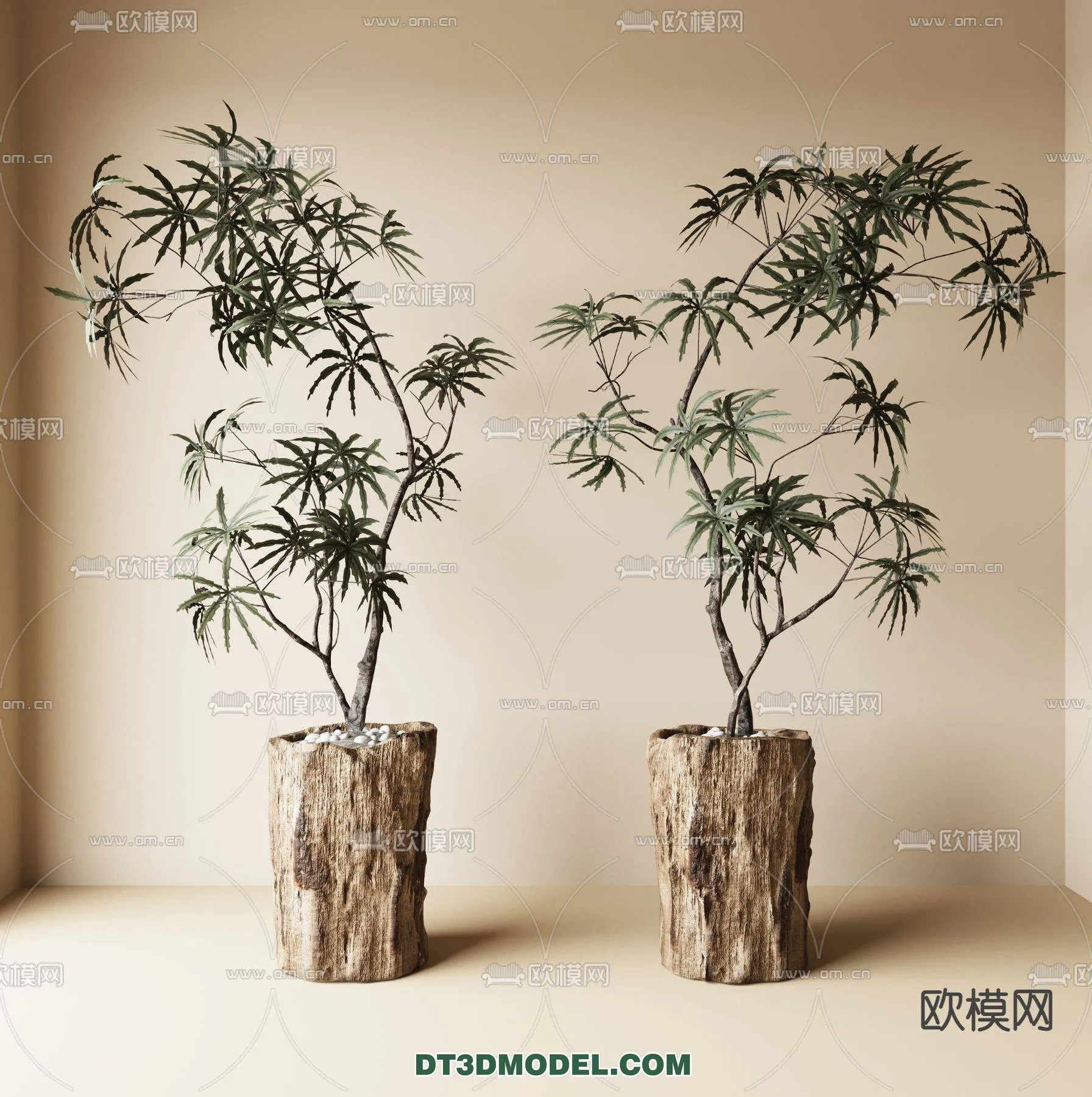 WABI SABI STYLE 3D MODELS – PLANTS – 0008