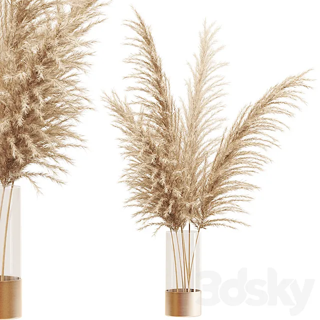 Dried flower pampas grass in glass gold vase 3DS Max - thumbnail 3