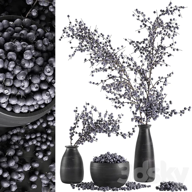 A collection of bouquets of branches with blueberries in black vases with blueberries a bowl with berries natural decor. Set 549. 3DS Max - thumbnail 3