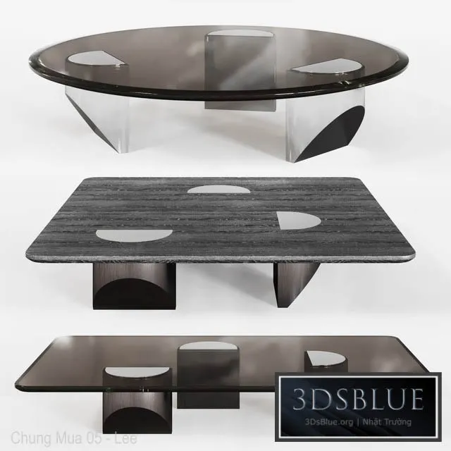 Minotti Wedge coffee table 3DS Max - thumbnail 3