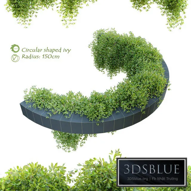 Circular shaped ivy 3DS Max - thumbnail 3