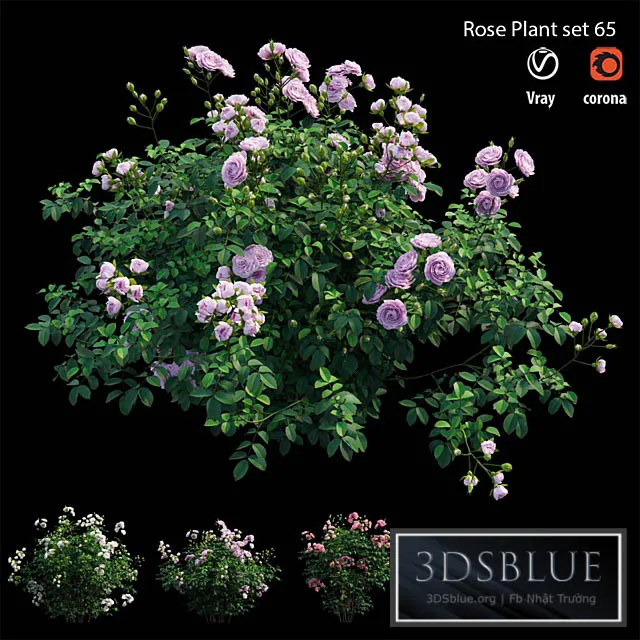 Rose plant set 65 3DS Max - thumbnail 3