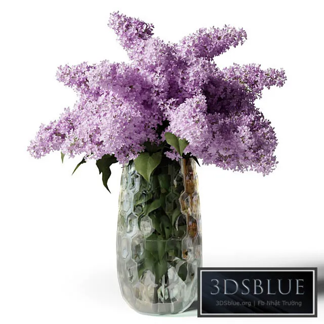 Bouquet of lilacs in a modern tall vase 3DS Max - thumbnail 3