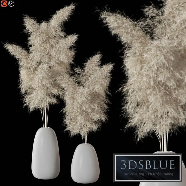 Decorative Pampas 3DS Max - thumbnail 3