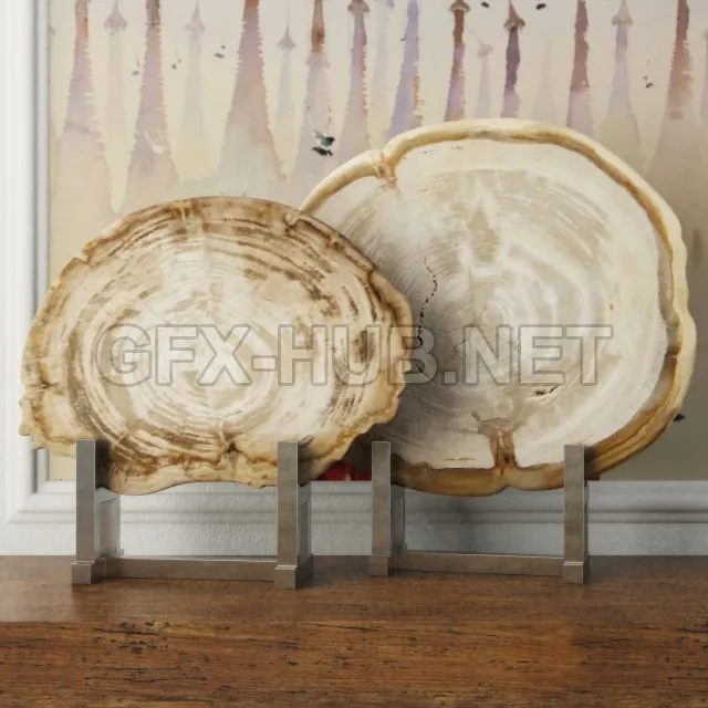 Acc_White Petrified Wood Slices – 205231