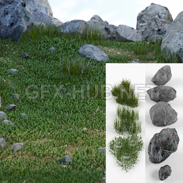 Amb_Grass and stones SRG – 205719