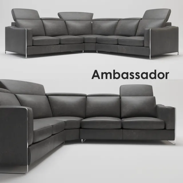 Ambassador – 205723