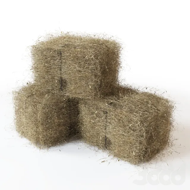 Bales of hay – 207001