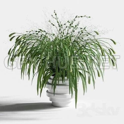 Bouquet of grass – 208795
