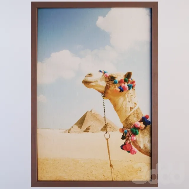 Camel In The Desert By Grant Faint – 209265