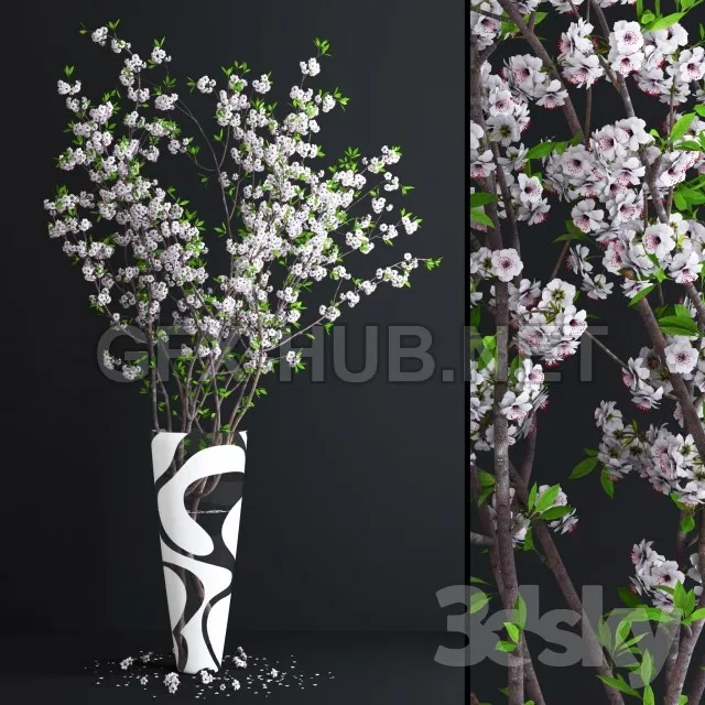 Cherry White Blossom 3D model – 210303