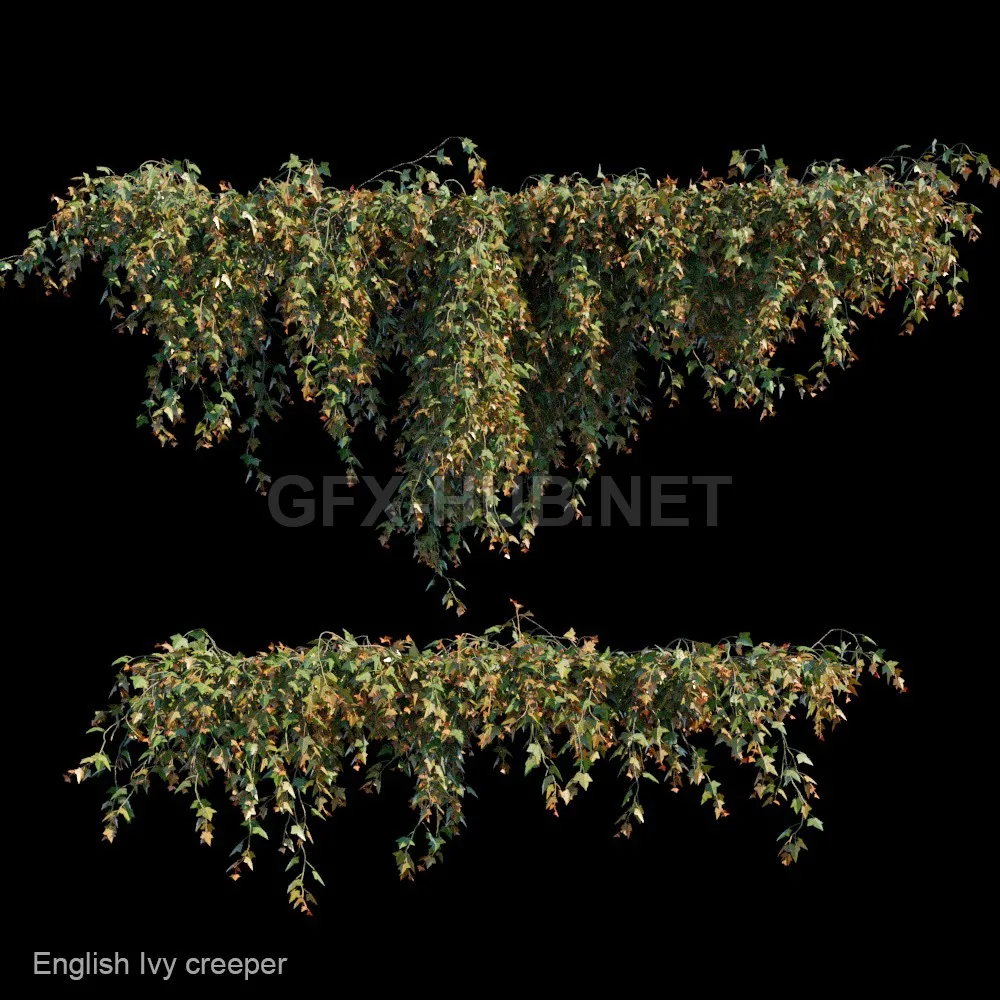 English Ivy creeper (maxfbx) 3d model – 213727