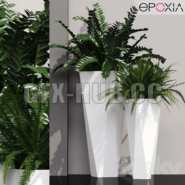 Epoxia diamond – Plants 19 – 213783