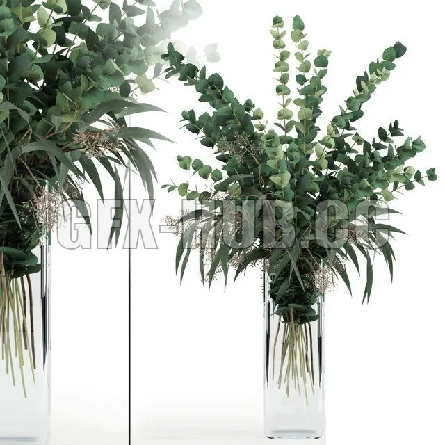 Eucalyptus in tall vase – 213905